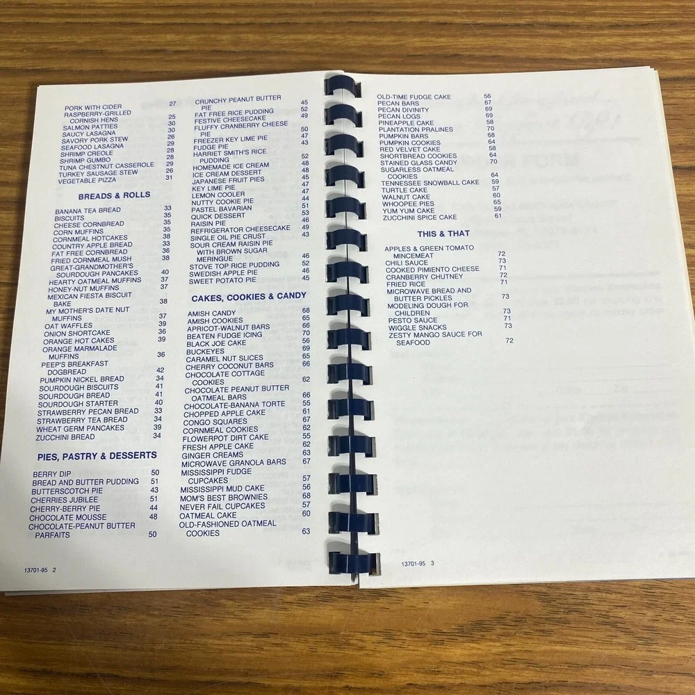 Okeechobee Florida United Methodist Women 1995 VTG Kitchen Keepsakes Cookbook